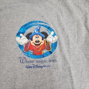 Walt Disney World Where Magic Lives Gray Long Sleeve Shirt Men's Size M